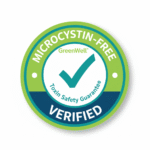 Gemini_Generated_Image_4iyrup4iyrup4iyr